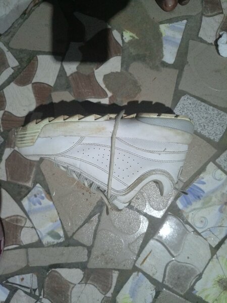 Chaussures de sport blanches