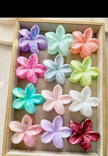 Pinces à cheveux fleurs colorées