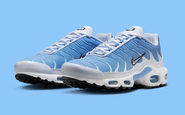 Chaussures Nike TN Air Max bleu et blanc