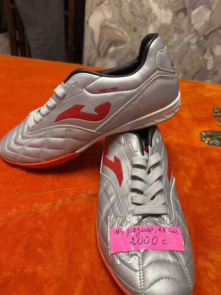 Сороконожки