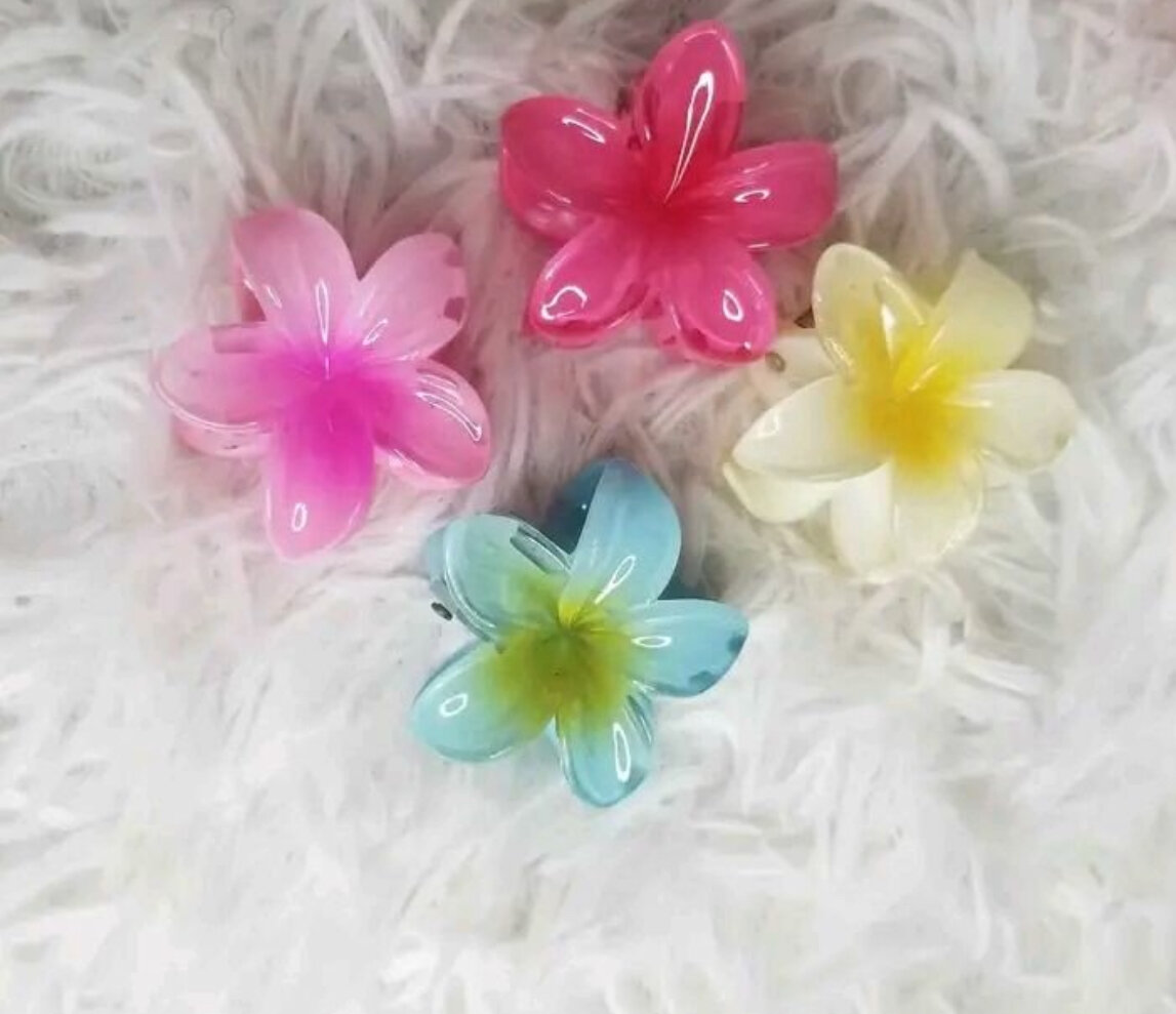 Pinces à cheveux fleurs colorées