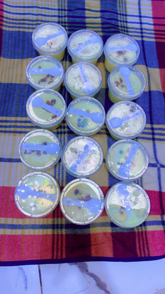 Tasses à dessert garnies