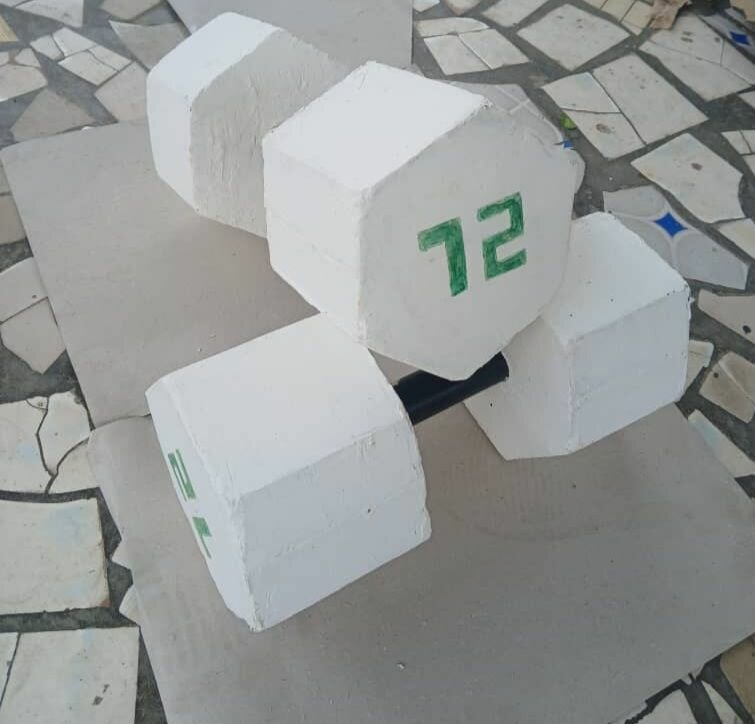 Haltère en béton de 12kg