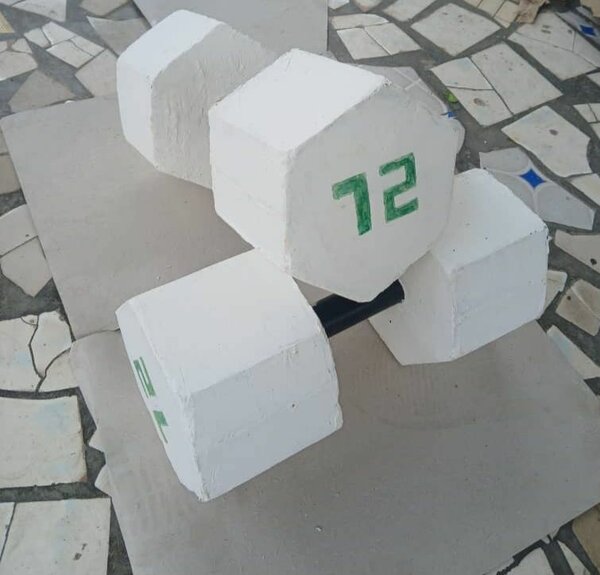 Haltère en béton de 12kg