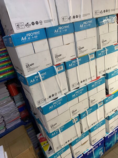 Papier A4 ProPrint 80g