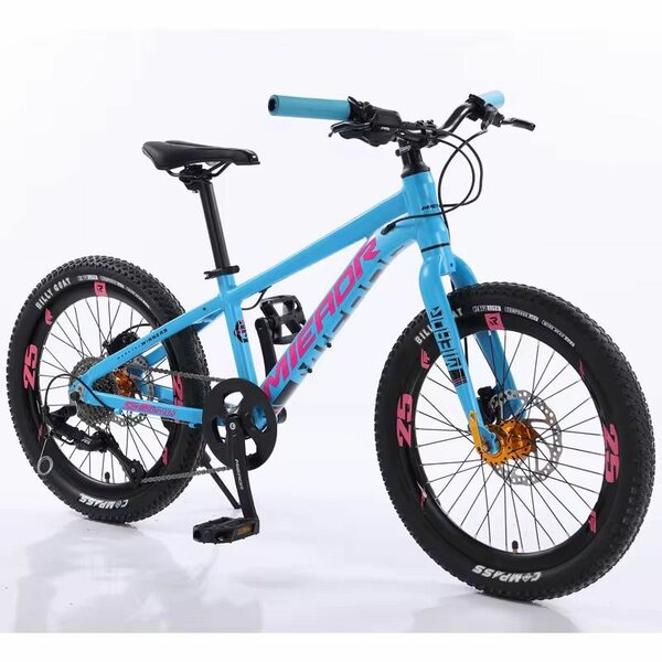 Vélo tout-terrain enfant - Meteor