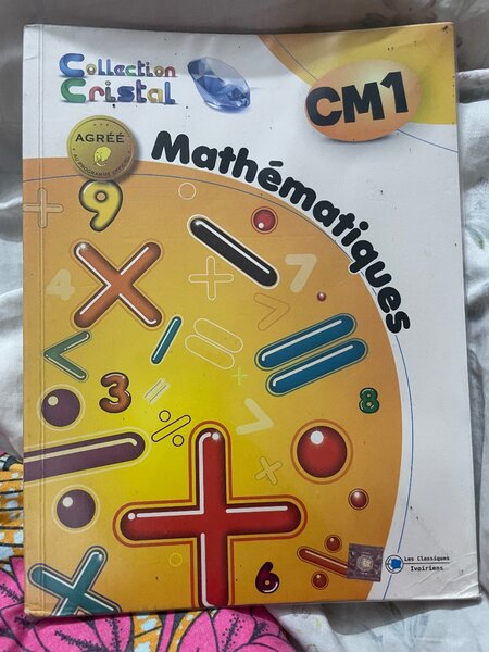 Livre de mathématiques CM1