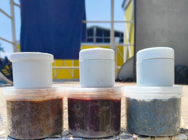 Savon pour sublimer la peau ️