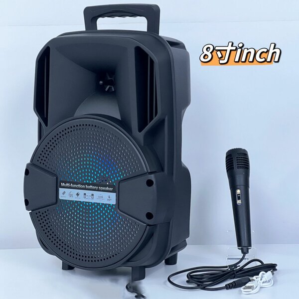 Haut parleurs 8 pouces recharg