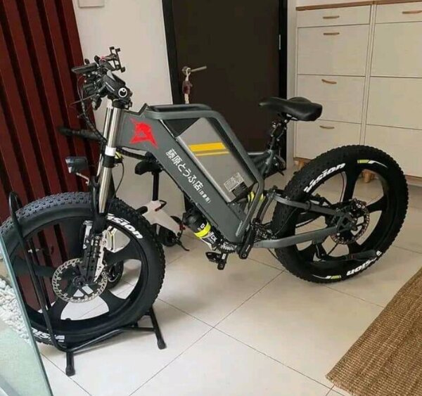 Vélo Électrique tout-terrain pliable