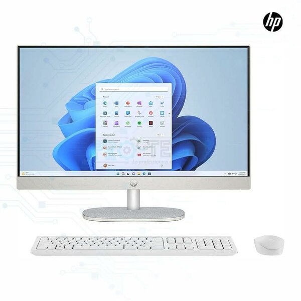 Ordinateur tout-en-un HP - Clavier et souris inclus