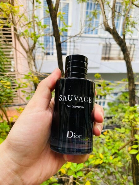 Sauvage dior