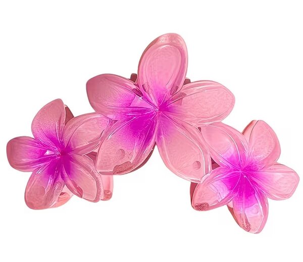 Barrettes fleurs frangipanier