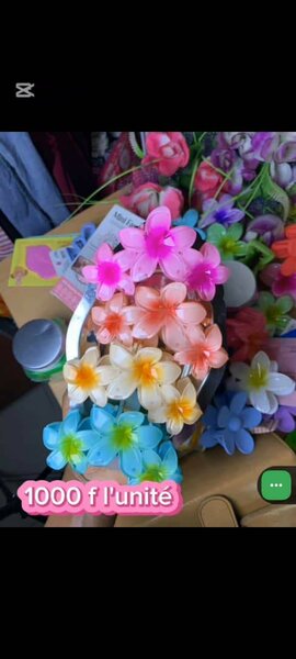 Épingles à cheveux fleuries multicolores