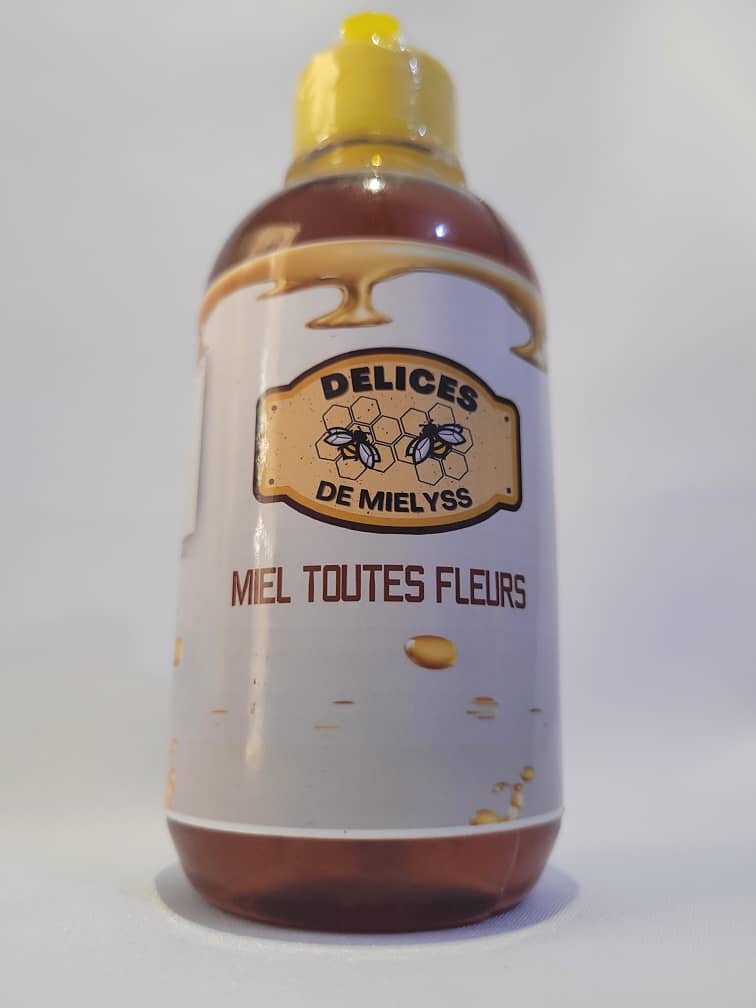 MIEL DELICE DE MIELYSS 350g