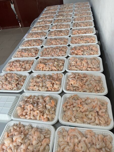 Peeled Shrimps