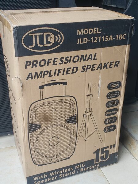 Professional Amplified Speaker