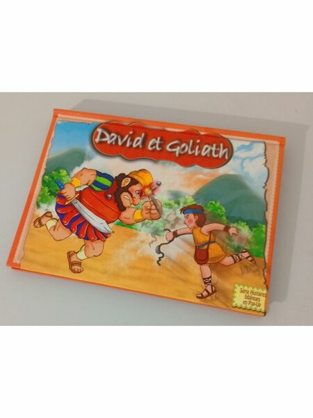 Livre Enfants David et Goliath