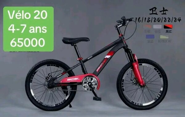 Vélo enfant 20 pouces - 4 à 7 ans