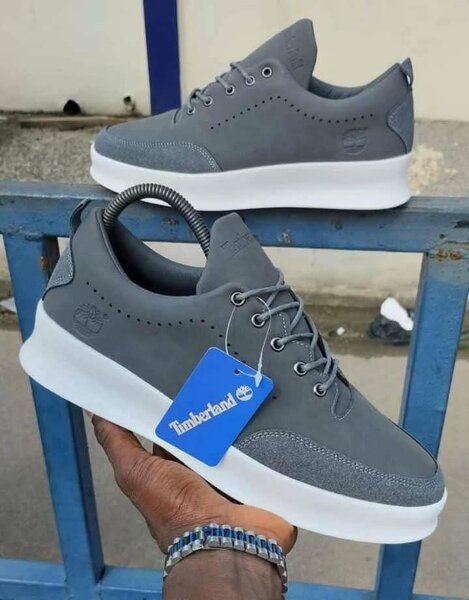 Chaussures Timberland Homme