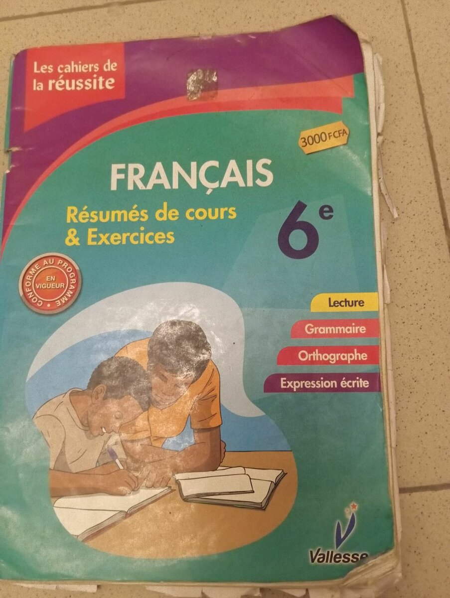 Lot de livres scolaires 6e