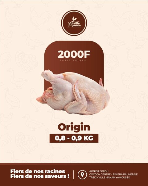 Poulet frais entier 1,1 kg