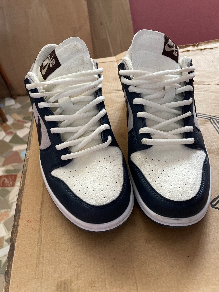 Nike SB Dunk Low Homme