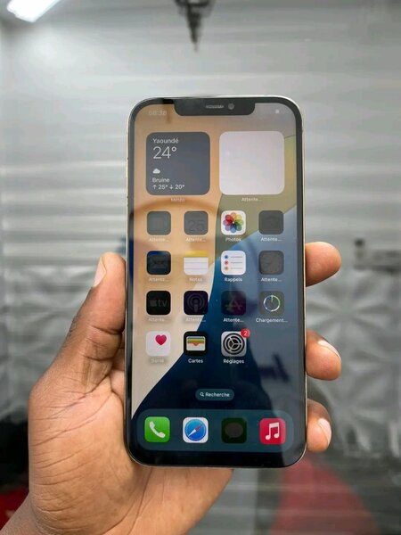 Smartphone avancé 6.1 pouces