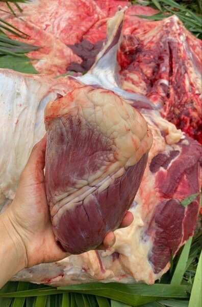 Cœur de boeuf frais