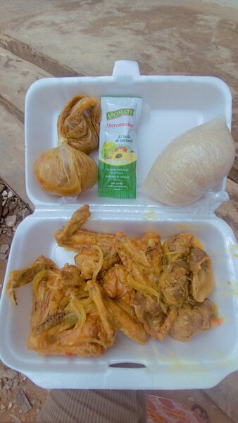 Mélange de gésier et aile