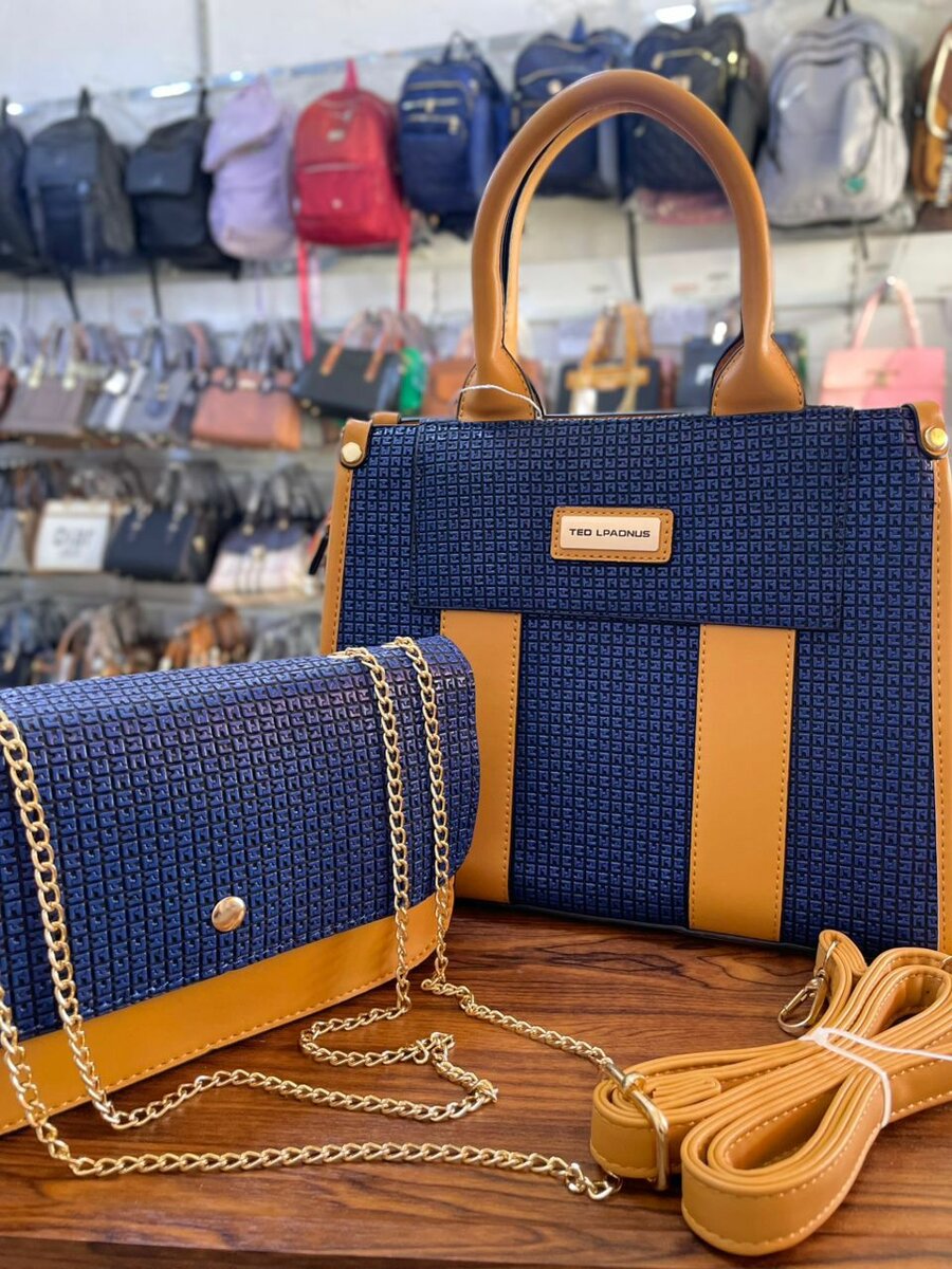 Ensemble sacs bleu et marron
