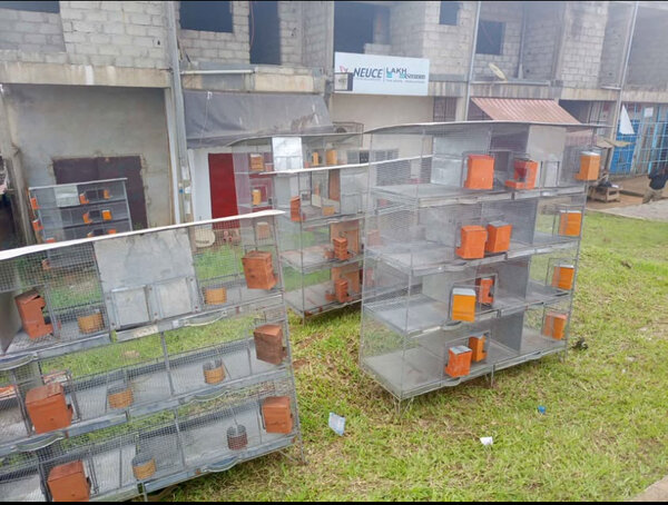 Cage pour lapins et autres animaux