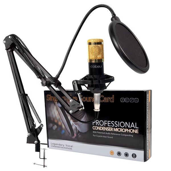 Microphone studio professionnel