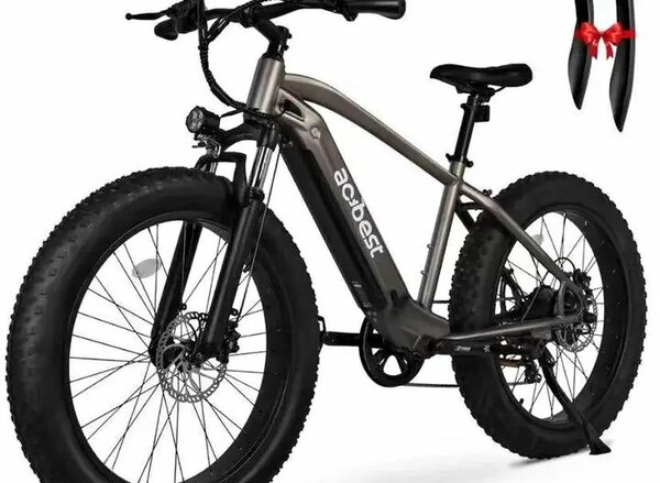 Vélo électrique tout-terrain robuste