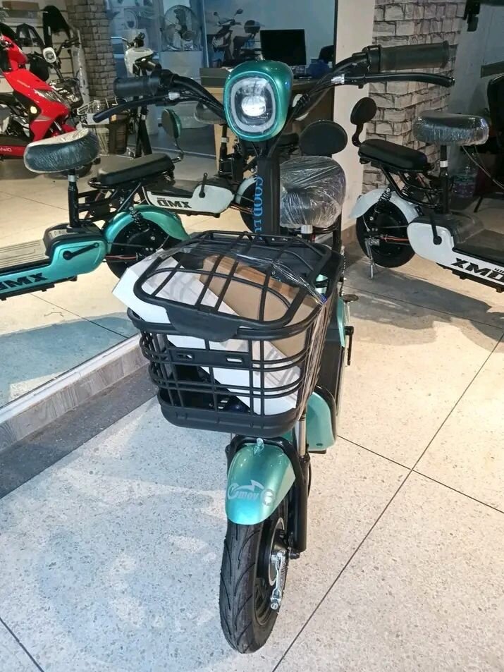 Scooter électrique pour adulte