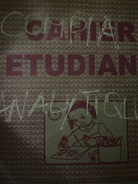 Livre de Poèmes Illustré