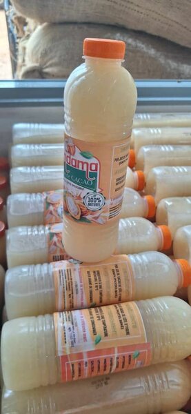 Jus de Cacao 100% naturel