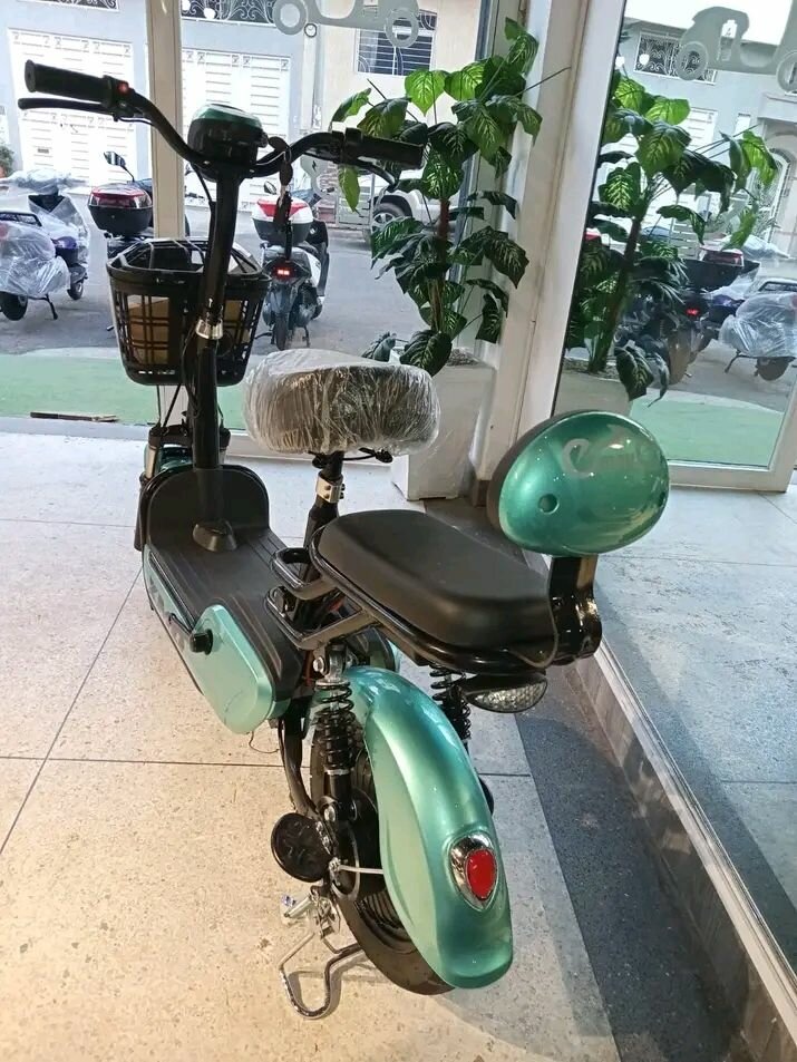 Scooter électrique pour adulte