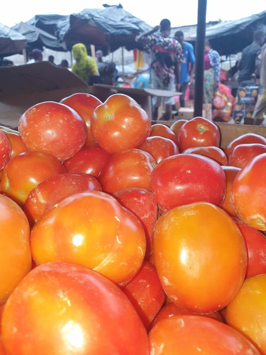 Tomate locale