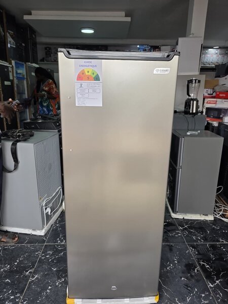 Congélateur vertical smart 6