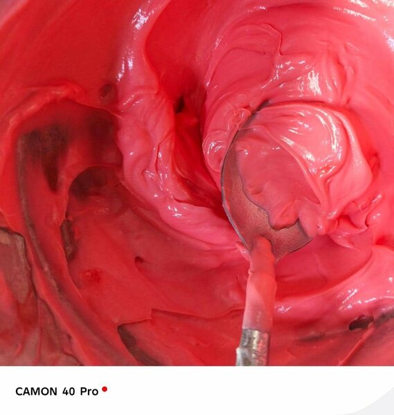 Lèvre rose  en gros 20 boites