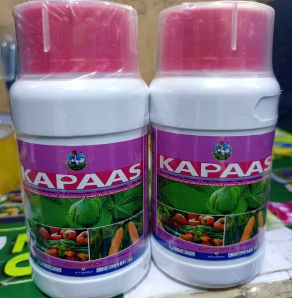 KAPAAS 80 ec