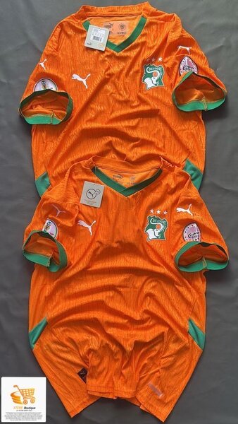 Maillot Côte d'Ivoire Puma