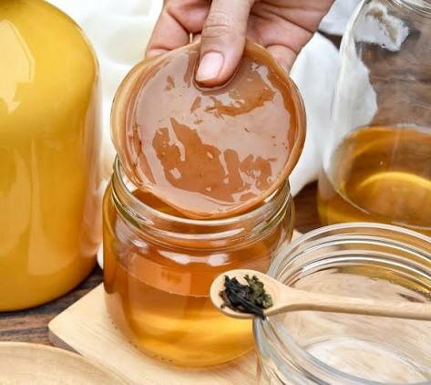 Set de kombucha maison