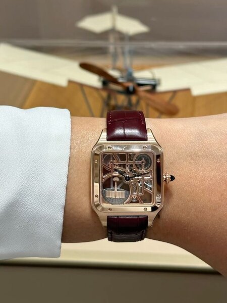 Montre homme luxe mécanique transparente