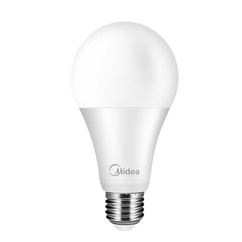 Ampoule LED 12W B22 6500K Midea
