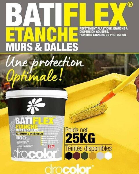 Peinture BatiFLEX Étanche 25KG