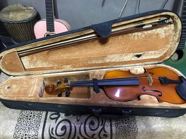 Violon acoustique avec étui