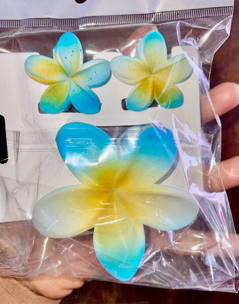 Pinces à cheveux fleurs tropicales