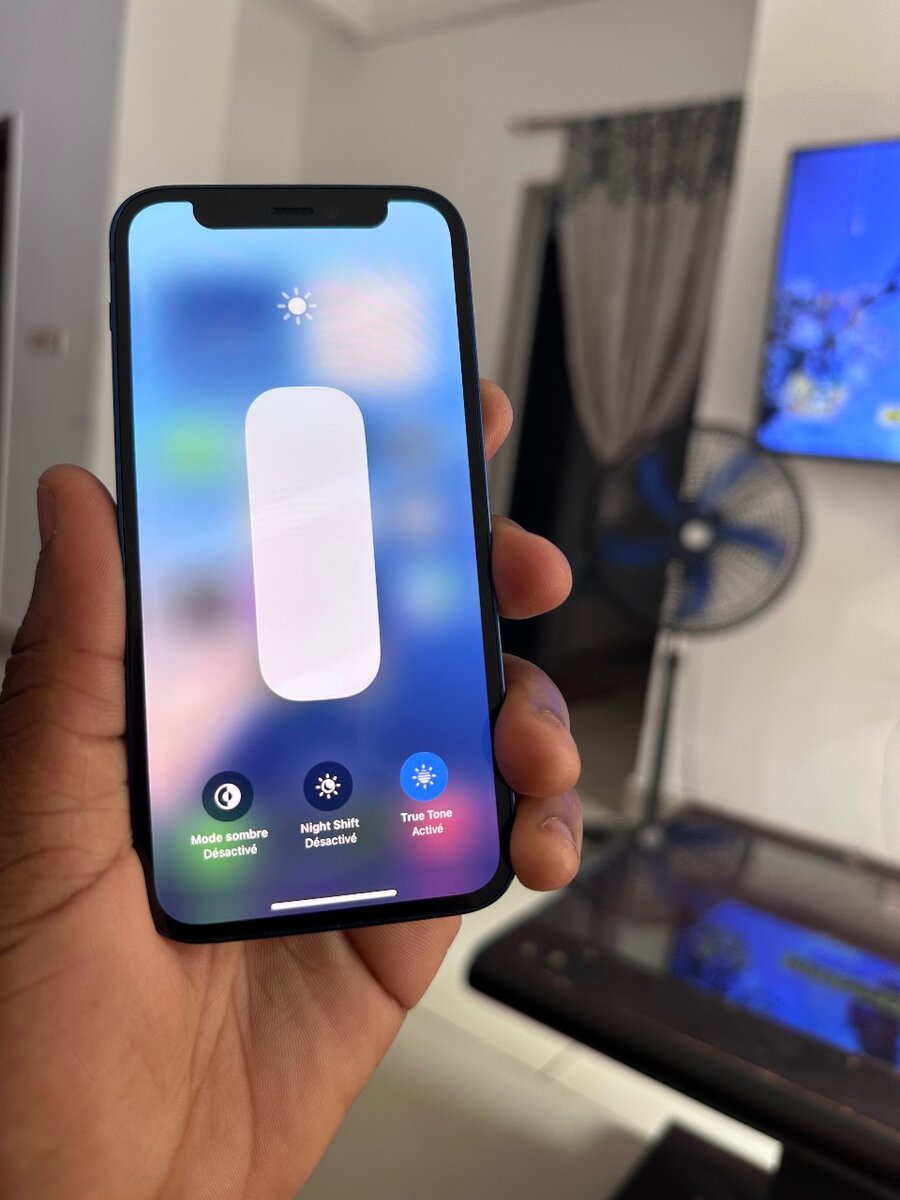 iPhone 12 mini 128g quasi neuf